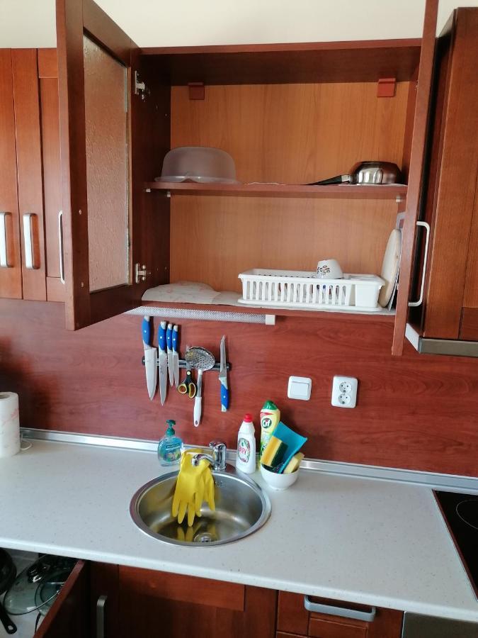 Ivavev Cedarlodge Bansko Esterno foto